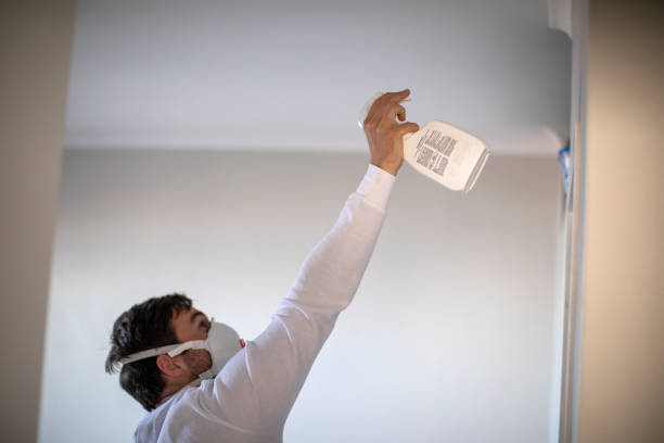 Best Mold Removal Near Me  in Buchanan, MI
