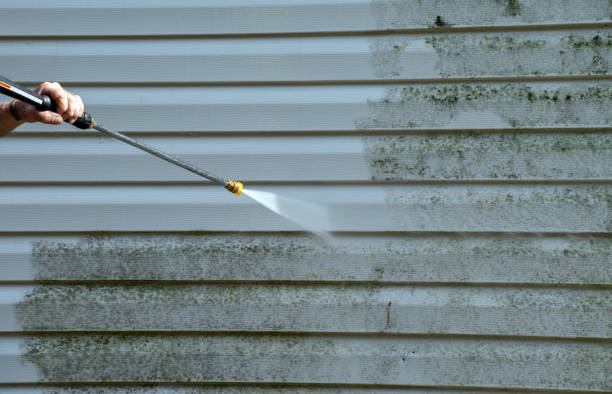Best Mold Cleaning Services  in Buchanan, MI