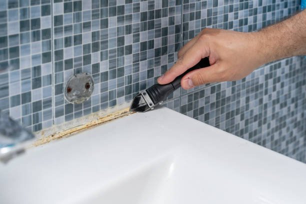 Best Home Mold Removal  in Buchanan, MI