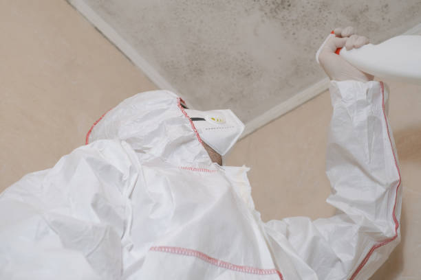 Best Mold Testing  in Buchanan, MI
